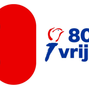 Afbeelding bij 80 jaar na de oorlog: De ervaringen van Nederlandse Roma en Sinti 